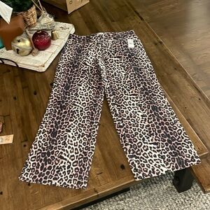 NWT PacSun Casey Low Rise Baggy Wide Leg Jeans